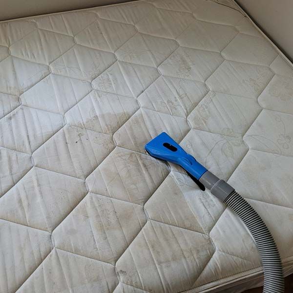 Homepage 12 Mattress Cleaning Service