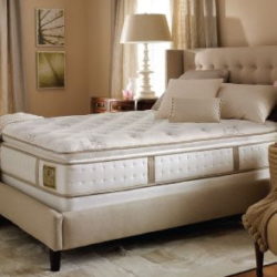 mattress-cleaning-service-opt Mattress Cleaning Service for Lexington KY