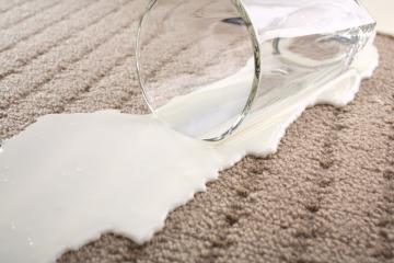 carpet-protectant carpet-protectant