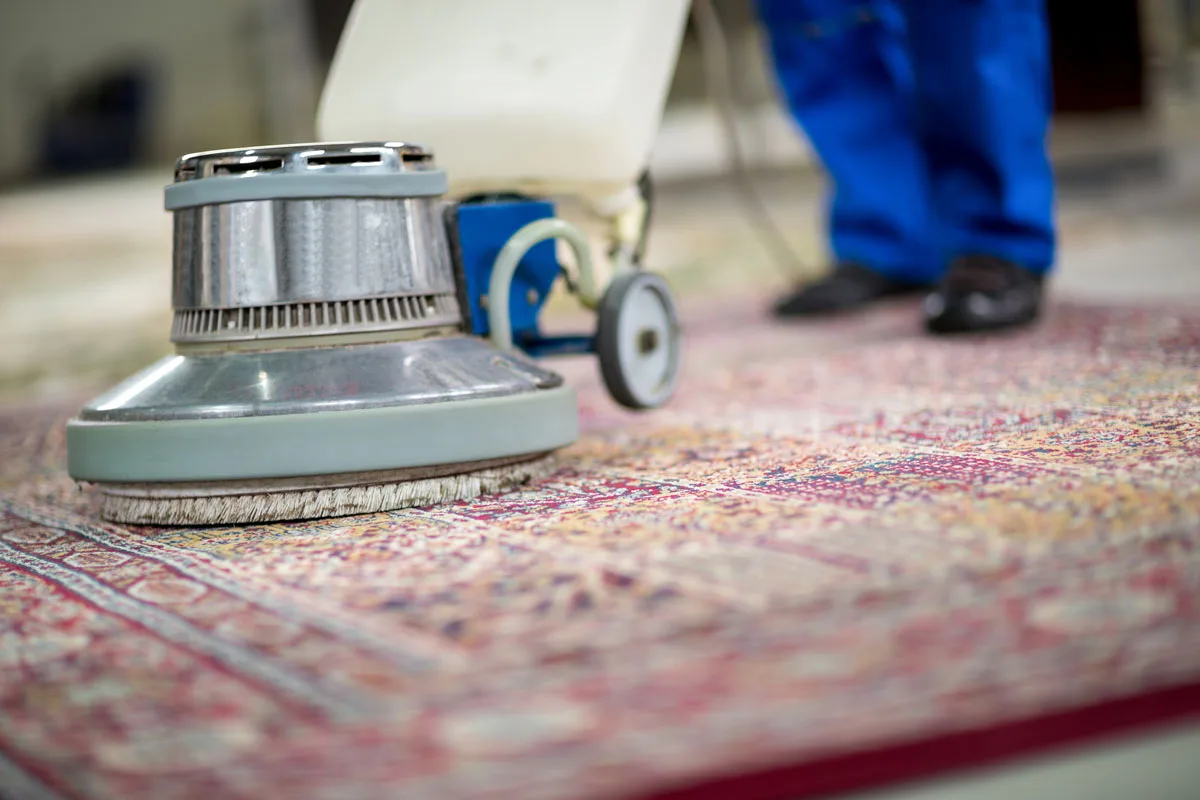 Homepage 9 aea rug cleaning in lexington ky