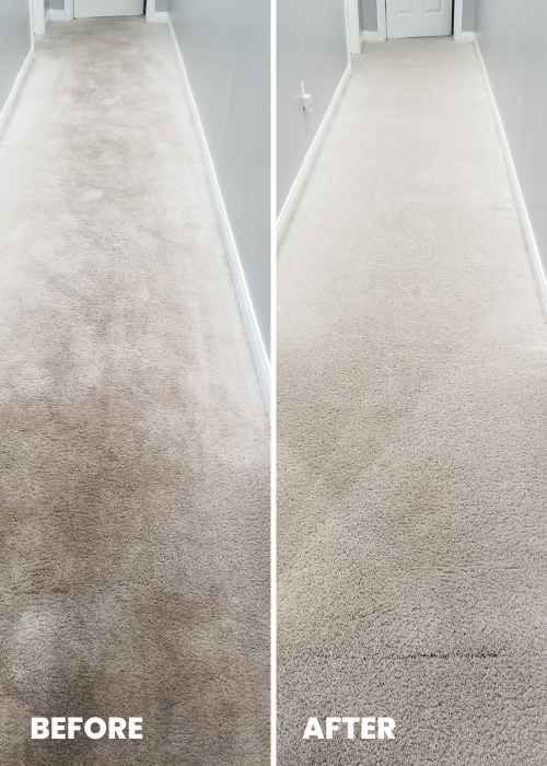 Carpet Cleaning Paris, KY 1 carpet cleaning for Paris ky