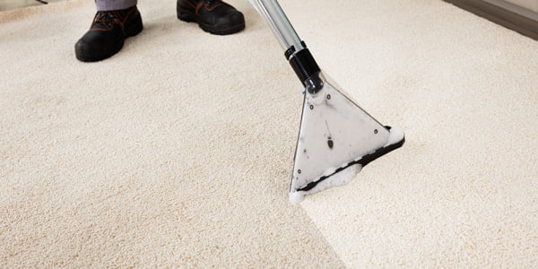 Homepage 67 Carpet Cleaning in Lexington