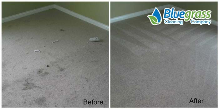 Ads - Carpet Cleaning 25 Carpet Cleaning Results
