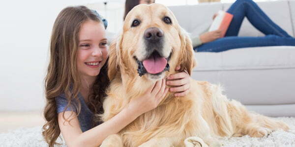 Carpet Cleaning Midway, KY 71 pet-urine-removal-service