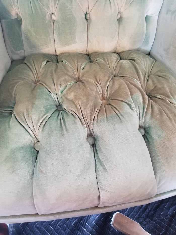 Upholstery Cleaning Midway, KY 29 Upholstery Cleaning Results in Midway