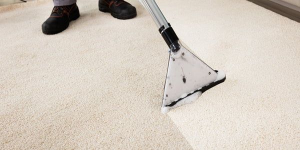 Home 67 Carpet Cleaning in Lexington